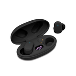 True Wireless Earbuds with Portable Charging Case
